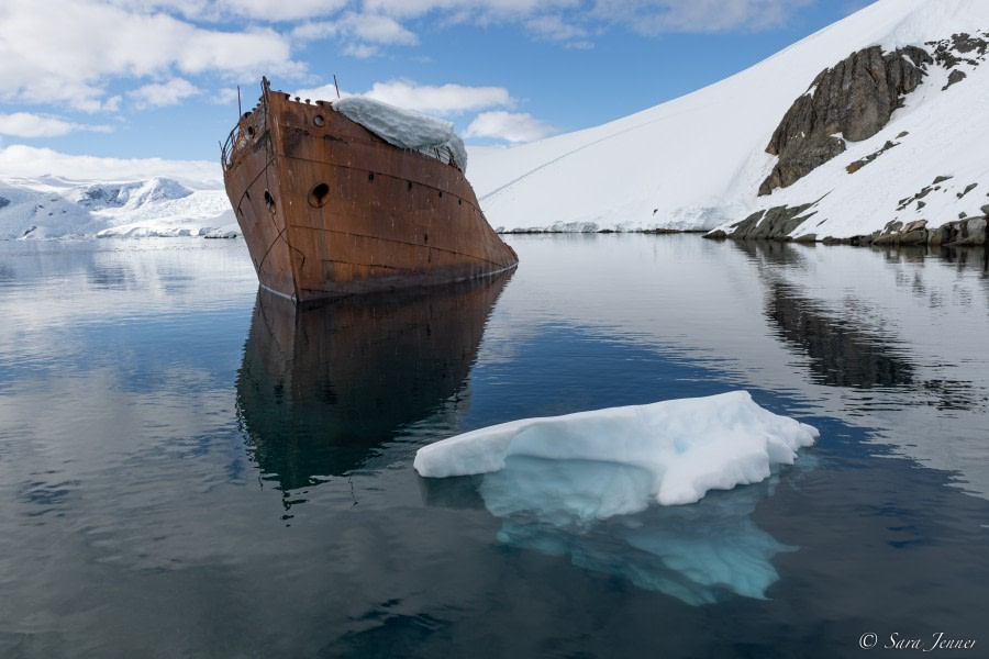 OTL24-22, Day 9 Foyn Harbour 9 © Sara Jenner - Oceanwide Expeditions.jpg