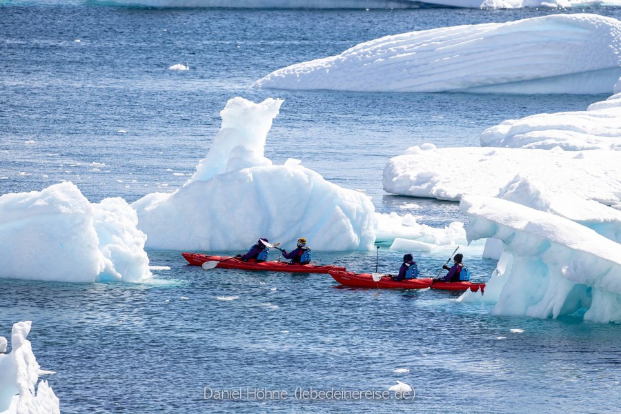 PLA24-22, Day 4 BC5I8826 © Daniel Hoehne - Oceanwide Expeditions.jpg