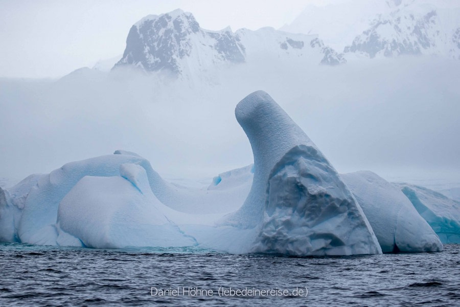 PLA24-22, Day 8 BC5I0249 © Daniel Hoehne - Oceanwide Expeditions.jpg