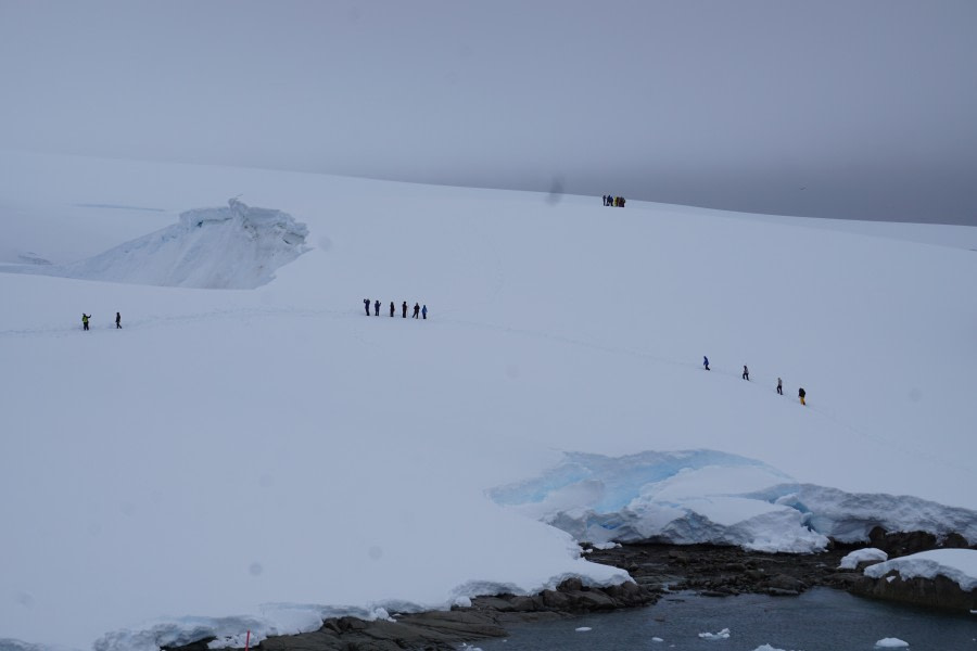 PLA24-22, Day 9 Portalpoint1 © Unknown Photographer - Oceanwide Expeditions.JPG