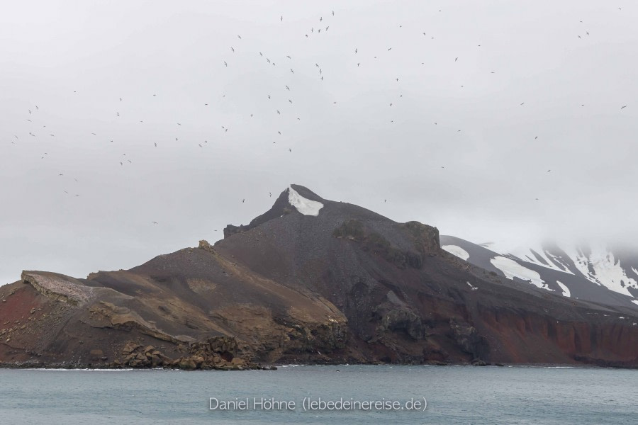 PLA24-22, Day 10 5D2A5708 © Daniel Hoehne - Oceanwide Expeditions.jpg