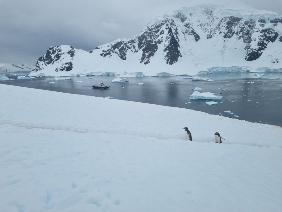 Petermann Island & Damoy Point