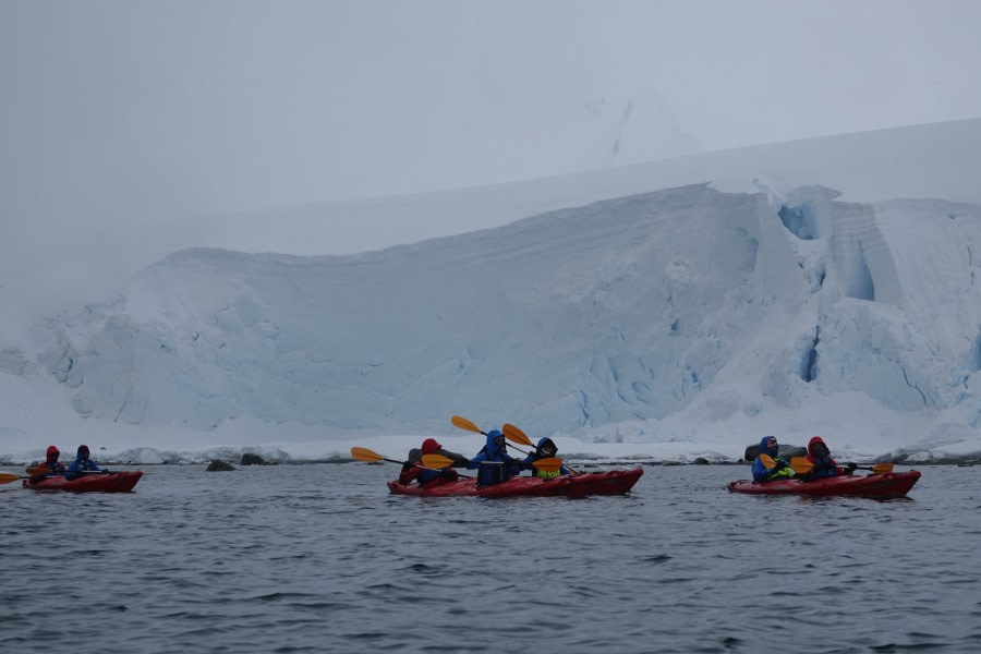 HDS24-22, Kayaking 17 Dec AM-2 © Unknown Photographer - Oceanwide Expeditions.JPG