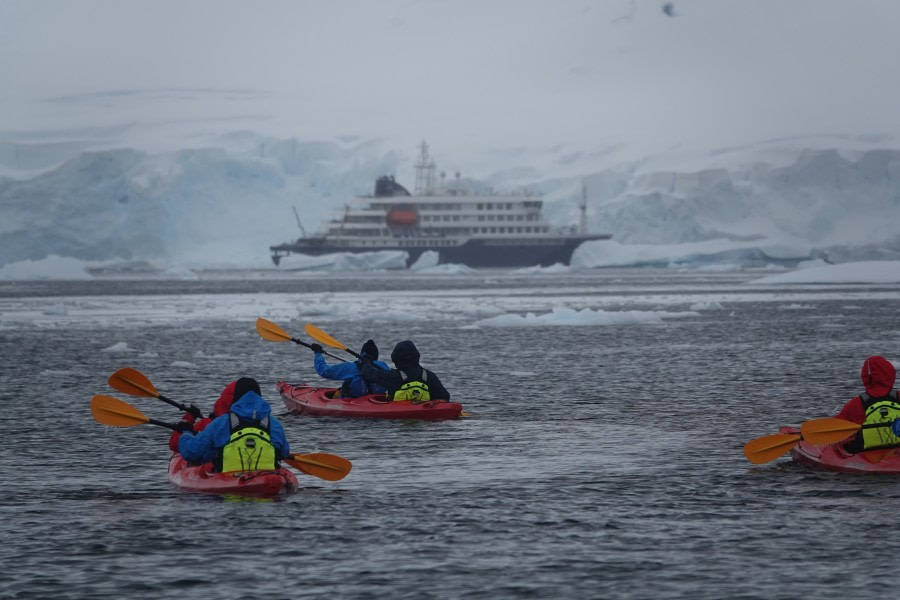 HDS24-22, Kayaking 17 Dec PM-1 © Unknown Photographer - Oceanwide Expeditions.JPG