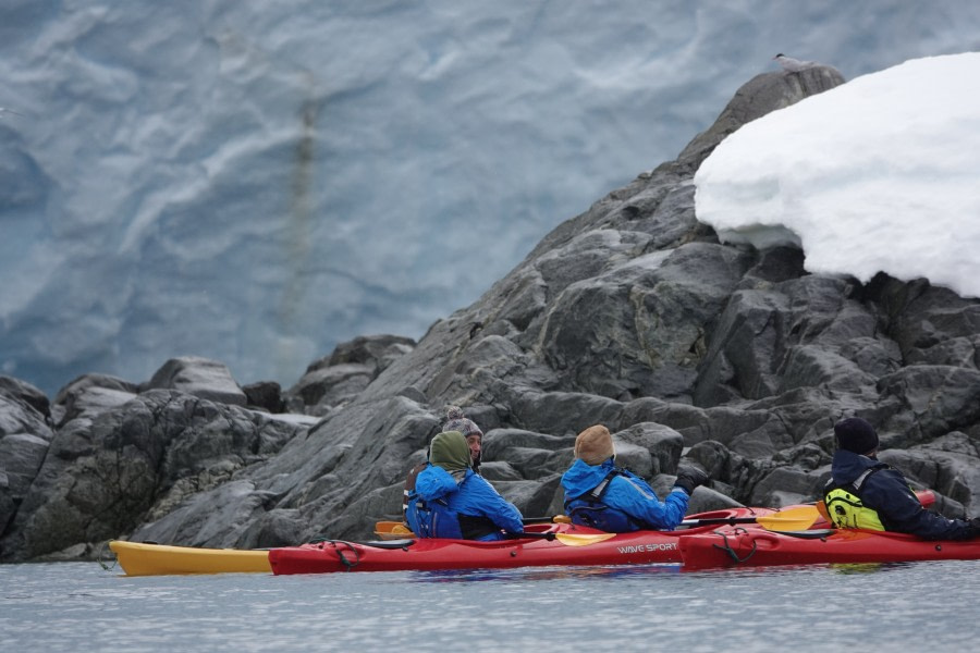 HDS24-22, Kayaking 19 Dec AM-2 © Unknown Photographer - Oceanwide Expeditions.JPG