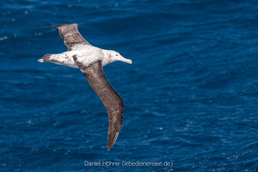 crossing the Drake Passage