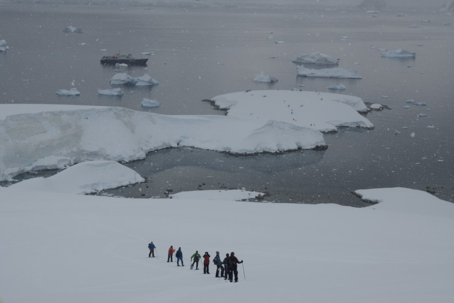 PLA25-23, Day 5 26th Portal Point DR © David Rudkin - Oceanwide Expeditions.jpeg