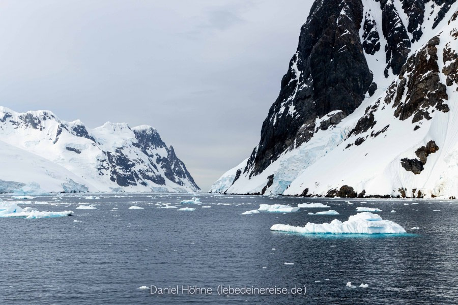 PLA25-23, Day 8 5D2A5947 © Daniel Hoehne - Oceanwide Expeditions.jpg