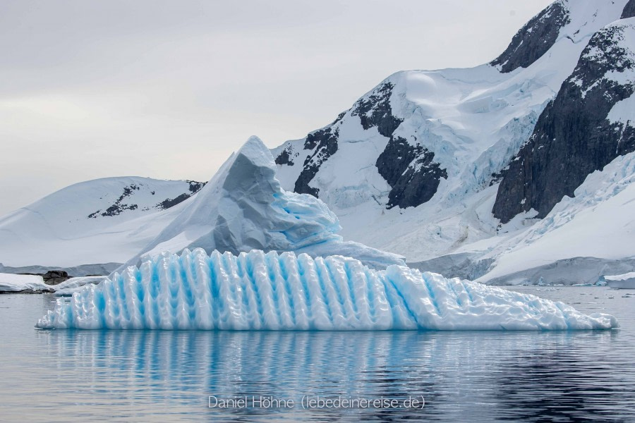 PLA25-23, Day 8 BC5I2860 © Daniel Hoehne - Oceanwide Expeditions.jpg