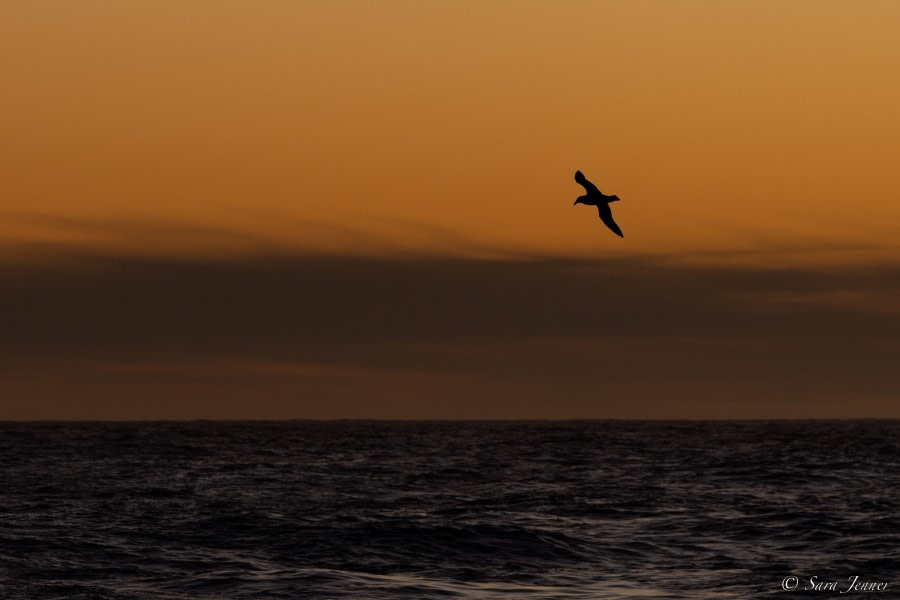 OTL25-23,  Day 2 Sunset 1 © Sara Jenner - Oceanwide Expeditions.jpg