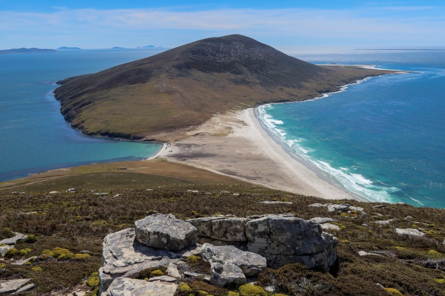 Saunders Island, Falklands