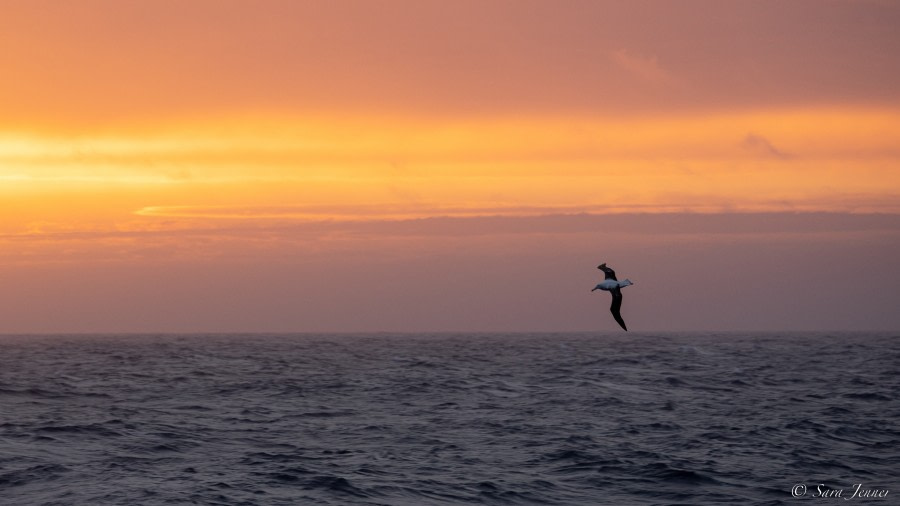 OTL25-23,  Day 5 Sunset 1 © Sara Jenner - Oceanwide Expeditions.jpg