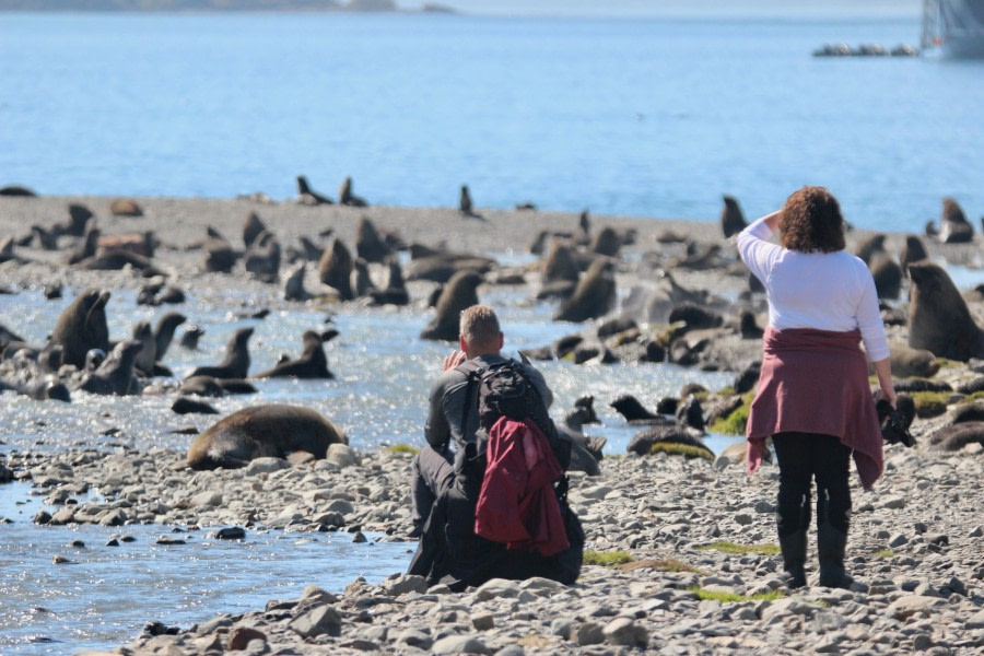 OTL25-23,  Day 8 guest with sea lions- Elizabeth Robinson © Elizabeth Robinson - Oceanwide Expeditions.jpeg