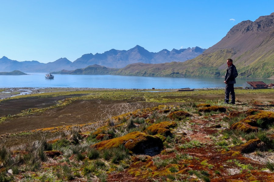 OTL25-23,  Day 8 overlooking stromness - felicity © Felicity Johnson - Oceanwide Expeditions.jpg