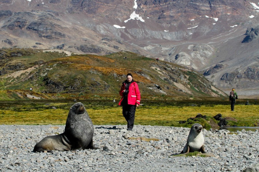 OTL25-23,  Day 8 pax and seal - felicity j © Felicity Johnson - Oceanwide Expeditions.jpg