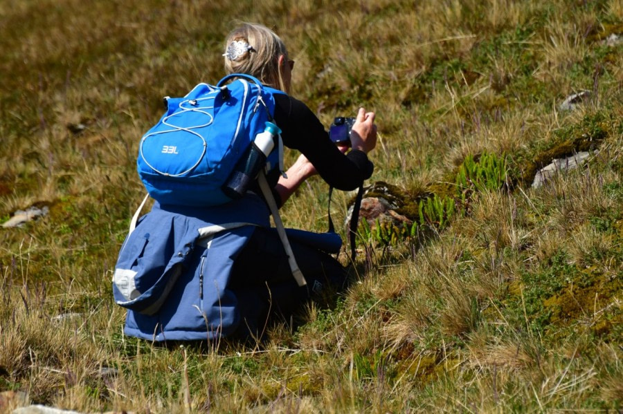 OTL25-23,  Day 8 Plant photographer © Unknown Photographer - Oceanwide Expeditions.jpg