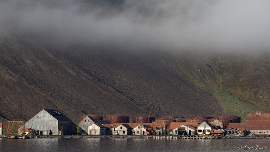 Stromness & Grytviken, South Georgia