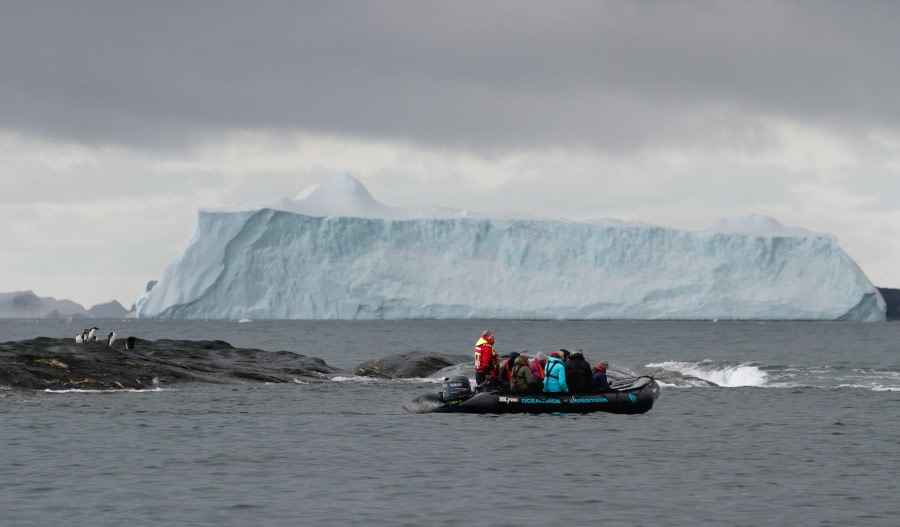 OTL25-23,  Day 13 Shingle Cove 2 - Felicity J © Felicity Johnson - Oceanwide Expeditions.jpg