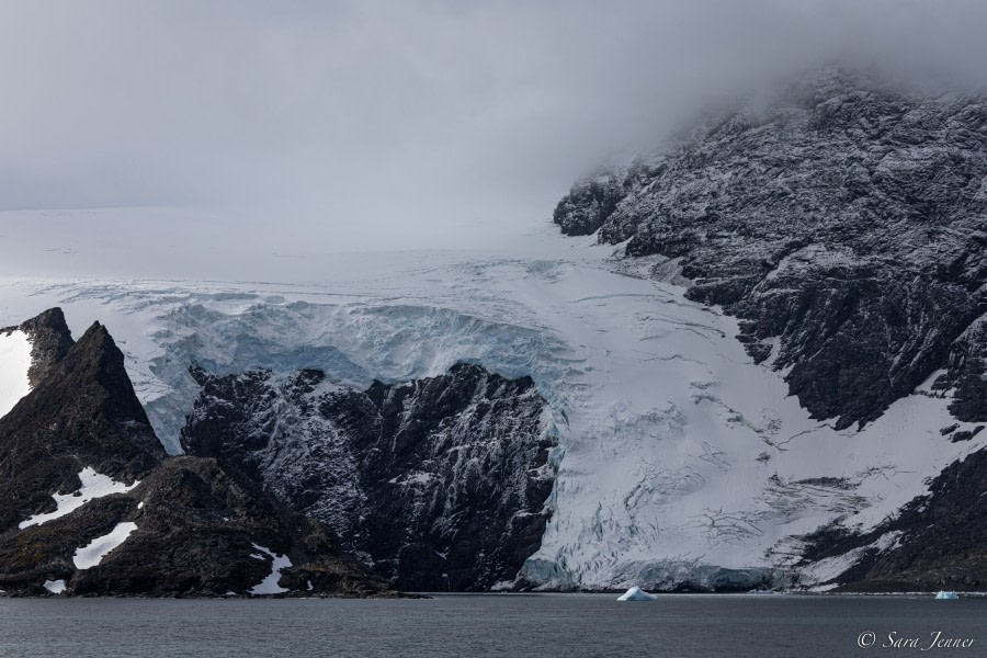 OTL25-23,  Day 13 Shingle Cove 8 © Sara Jenner - Oceanwide Expeditions.jpg