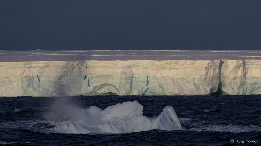 OTL25-23,  Day 14 Antarctic Sound 3 © Sara Jenner - Oceanwide Expeditions.jpg