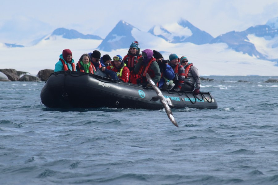 OTL25-23,  Day 15 Cruising Cape Petrel - Jess © Jess Owen - Oceanwide Expeditions.JPG