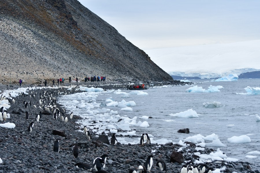 OTL25-23,  Day 16 Paulet landing site - Hazel Pittwood © Hazel Pittwood - Oceanwide Expeditions.JPG