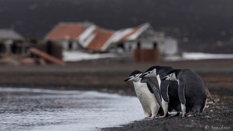 Deception Island & Elephant Point