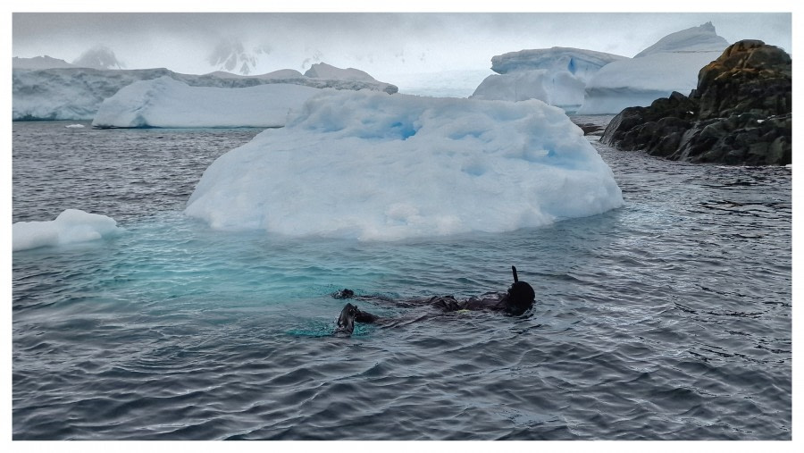 OTL26-23 20230109_145702-01 © Peter Nilsson - Oceanwide Expeditions.jpeg