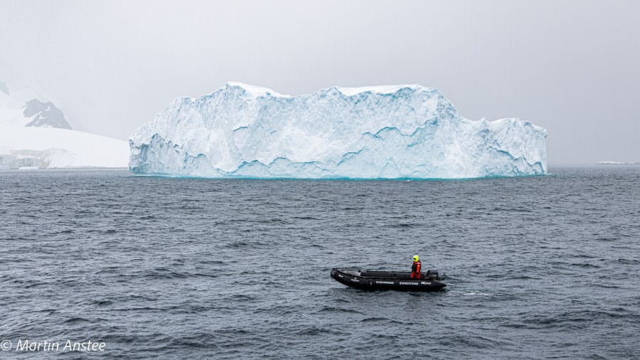 OTL26-23, Day 4, Zodiac Martin © Martin Anstee Photography - Oceanwide Expeditions.jpg