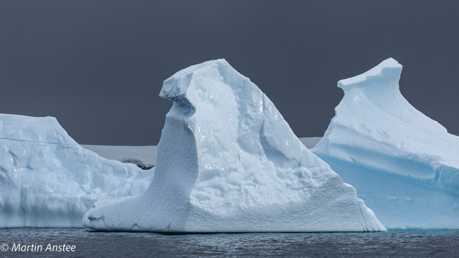 OTL26-23, Day 5, Ice Martin © Martin Anstee Photography - Oceanwide Expeditions.jpg