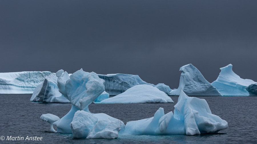 OTL26-23, Day 5, Ice Martin (2) © Martin Anstee Photography - Oceanwide Expeditions.jpg