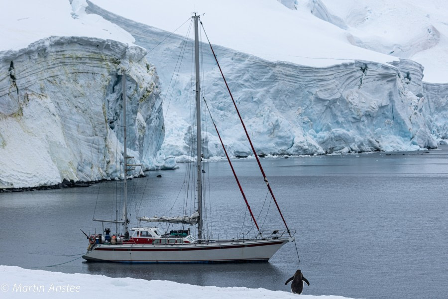 OTL26-23, Day 6, Yacht Charcot Martin © Martin Anstee Photography - Oceanwide Expeditions.jpg