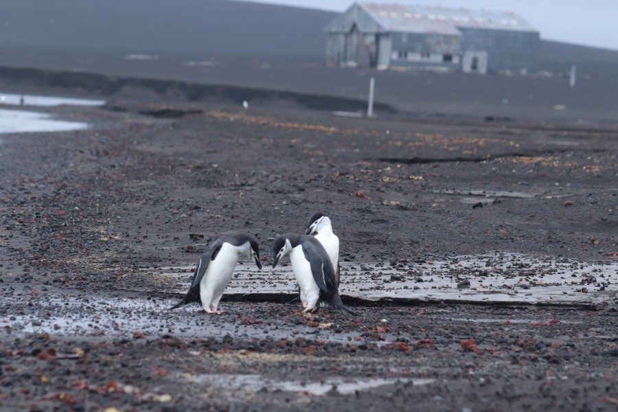 Deception Island