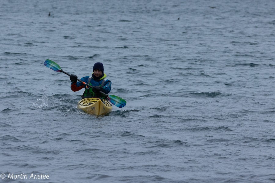 OTL26-23, Kayaking 095A5446 © Martin Anstee Photography - Oceanwide Expeditions.jpg