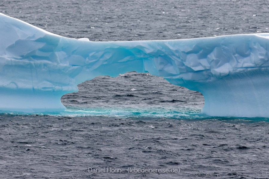 PLA26-23, Day 6 BC5I5387 © Daniel Hoehne - Oceanwide Expeditions.jpg