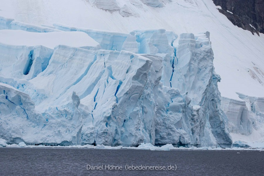 PLA26-23, Day 6 BC5I5454 © Daniel Hoehne - Oceanwide Expeditions.jpg