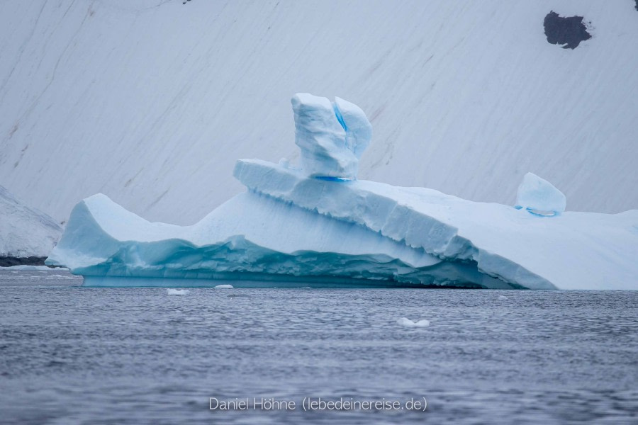 PLA26-23, Day 6 BC5I5710 © Daniel Hoehne - Oceanwide Expeditions.jpg