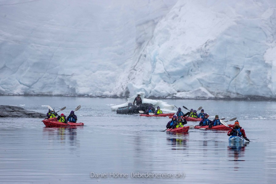 PLA26-23, Day 7 BC5I6578 © Daniel Hoehne - Oceanwide Expeditions.jpg