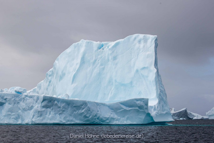 PLA26-23, Day 8 BC5I7405 © Daniel Hoehne - Oceanwide Expeditions.jpg