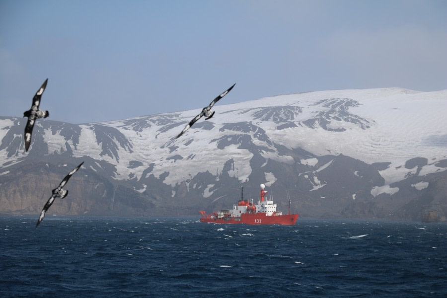 PLA26-23, IMG_6245 © Christiaan Luteijn - Oceanwide Expeditions.JPG