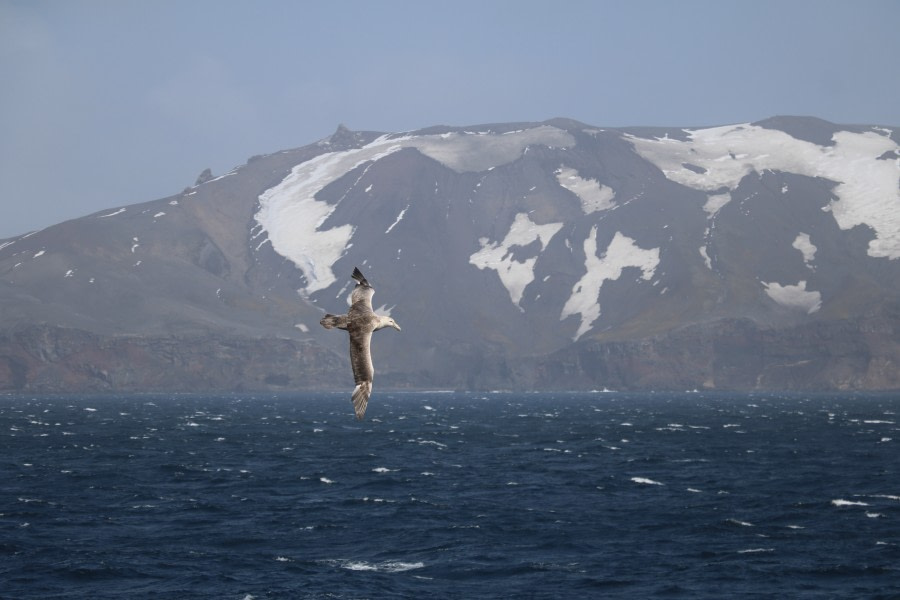 PLA26-23, IMG_6251 © Christiaan Luteijn - Oceanwide Expeditions.JPG