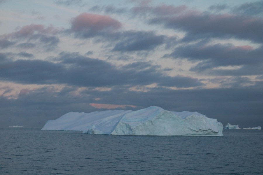 PLA26-23, IMG_6375 © Christiaan Luteijn - Oceanwide Expeditions.JPG