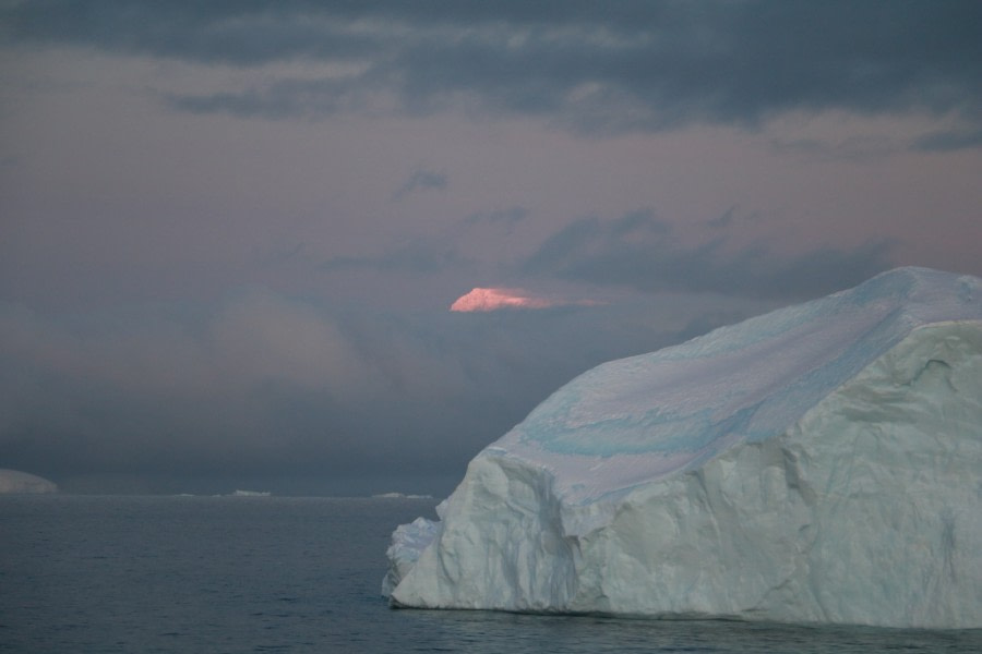 PLA26-23, IMG_6405 © Christiaan Luteijn - Oceanwide Expeditions.JPG