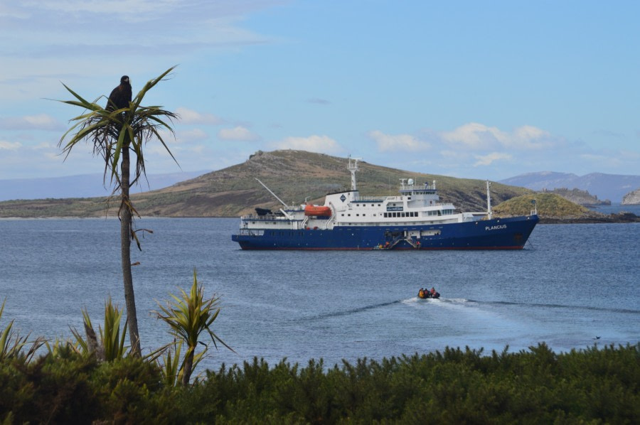 Carcass and West Point Island, Falkland Islands