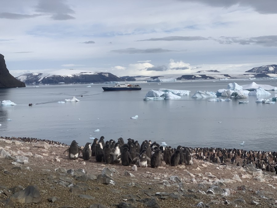 PLA27-23, day 15 devilisland_ship_stefanieliller © Stefanie Liller - Oceanwide Expeditions.jpg