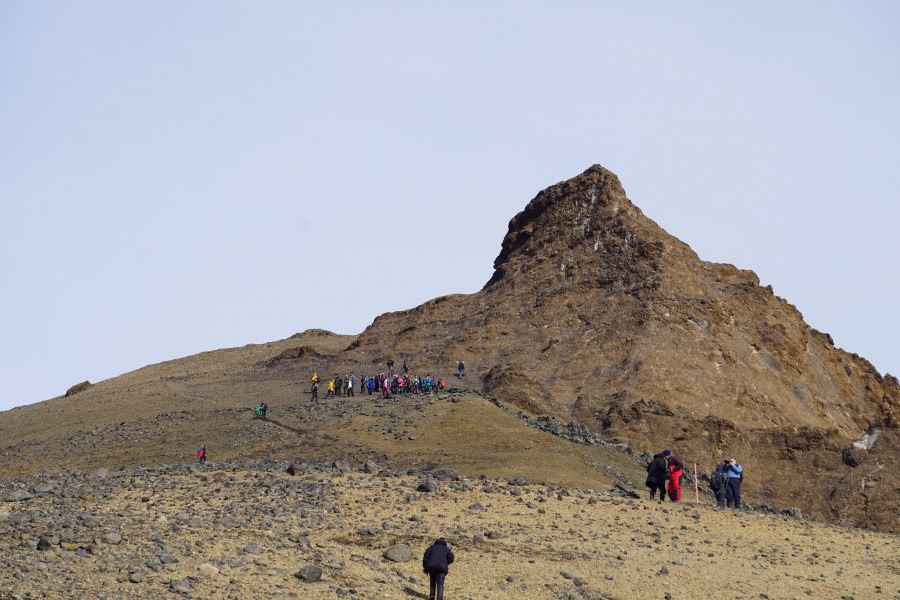 Devil Island and Zodiac Cruise in the Weddell Sea