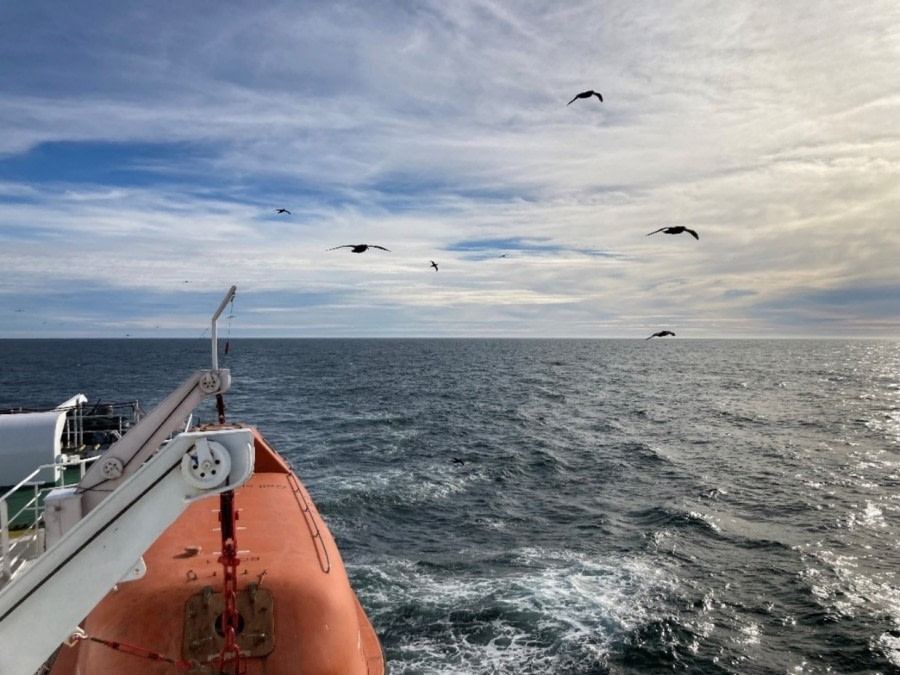 crossing the Argentinian Sea