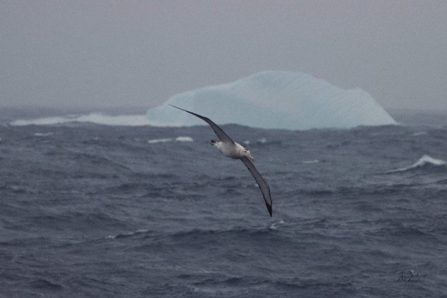 towards Drake Passage