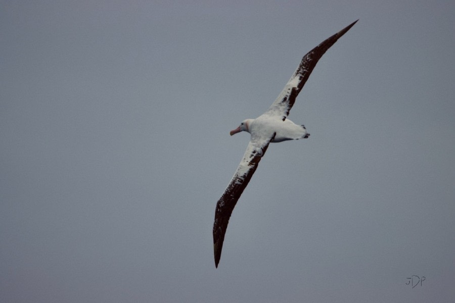 crossing Drake Passage