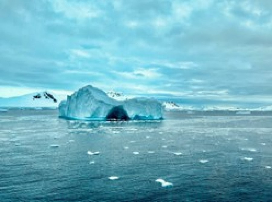 Gerlache Strait,  Andvord Bay, Neko Harbor